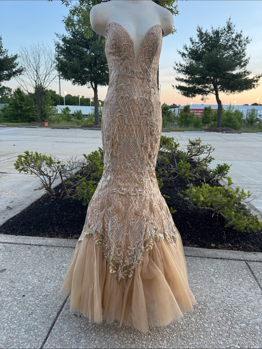 Jonathan Kayne Nude Gold Beaded Mermaid Gown | Size 6